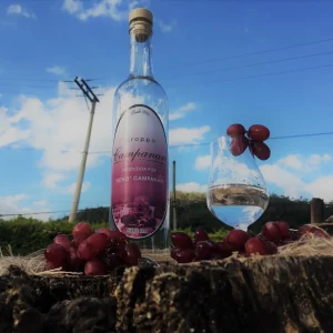 Grappa Campanari – A Essência Destilada da Uva